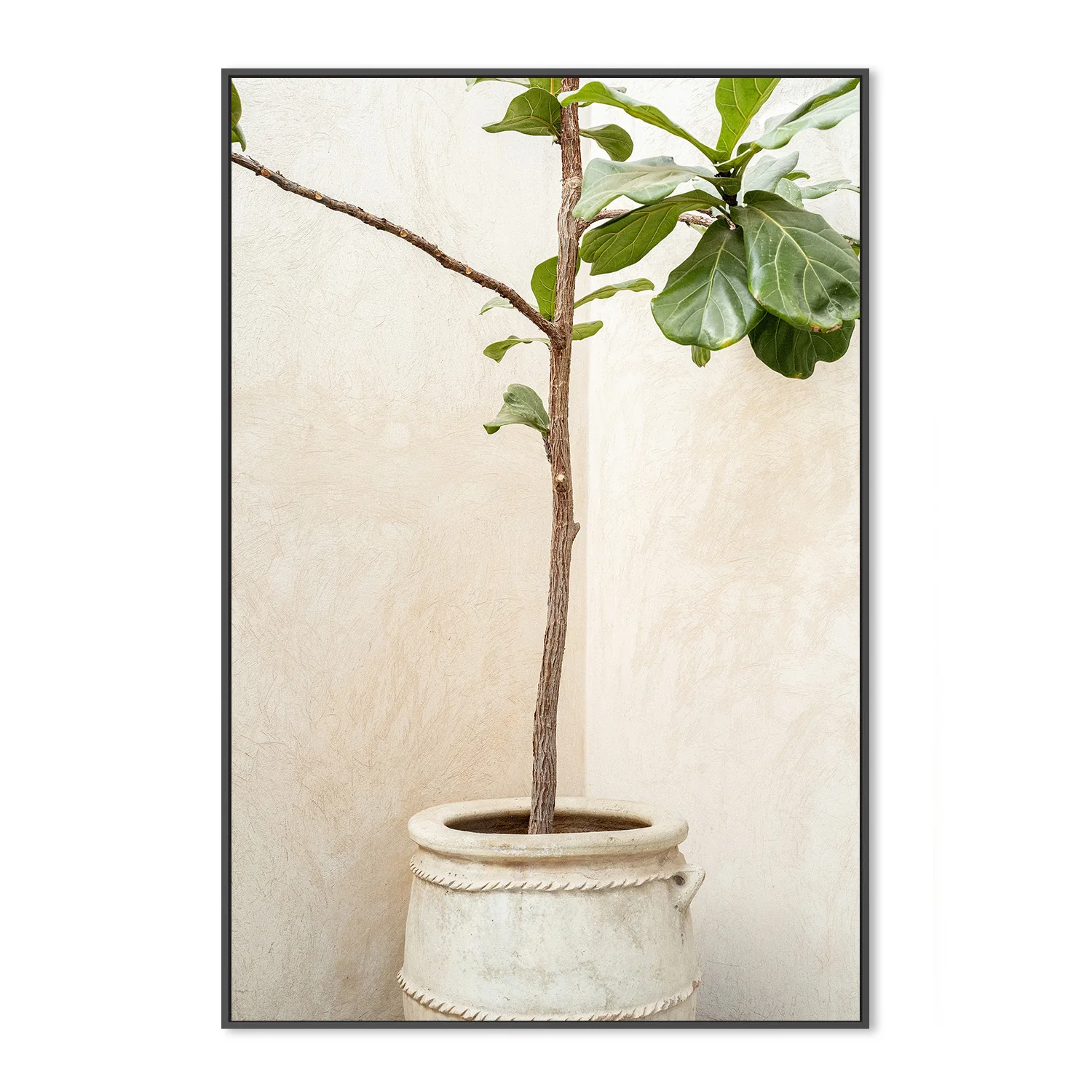 Tree In a Pot - Image 3
