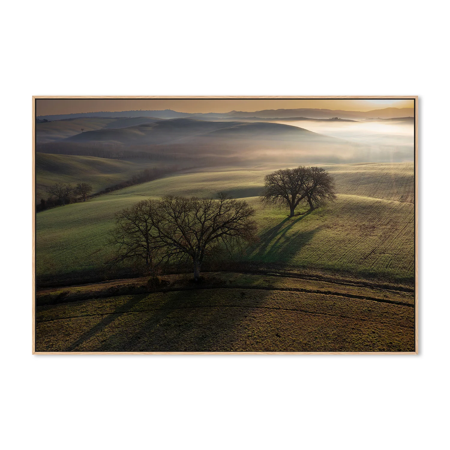 Tuscan Morning - Image 4