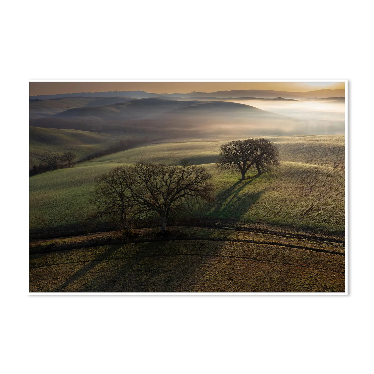 Tuscan Morning - Image 5