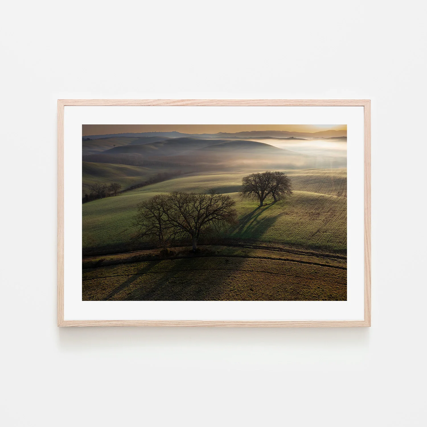 Tuscan Morning - Image 6