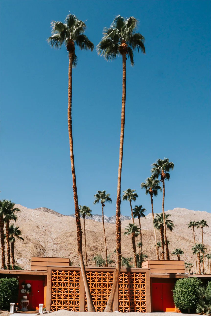 Two Palms