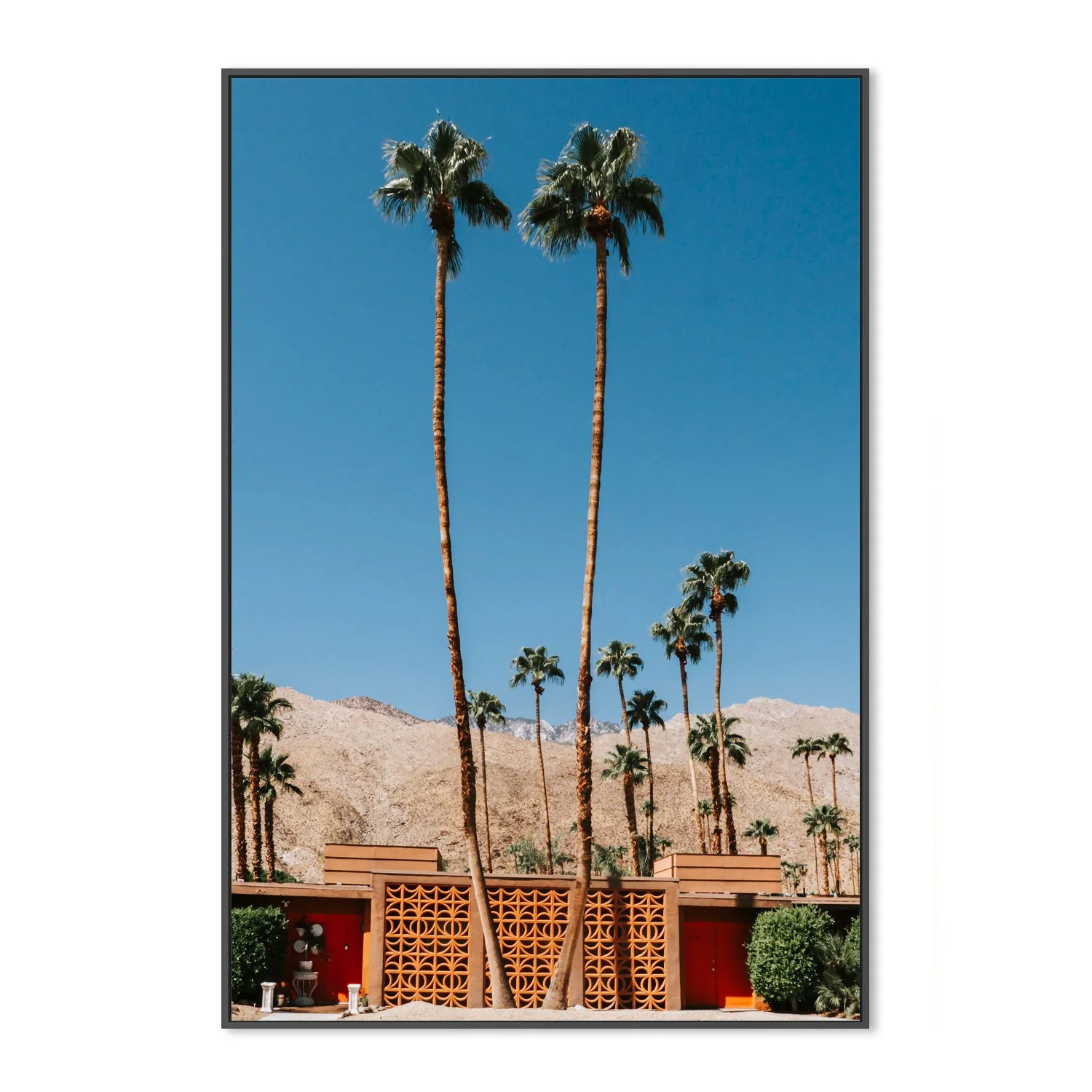 Two Palms - Image 3