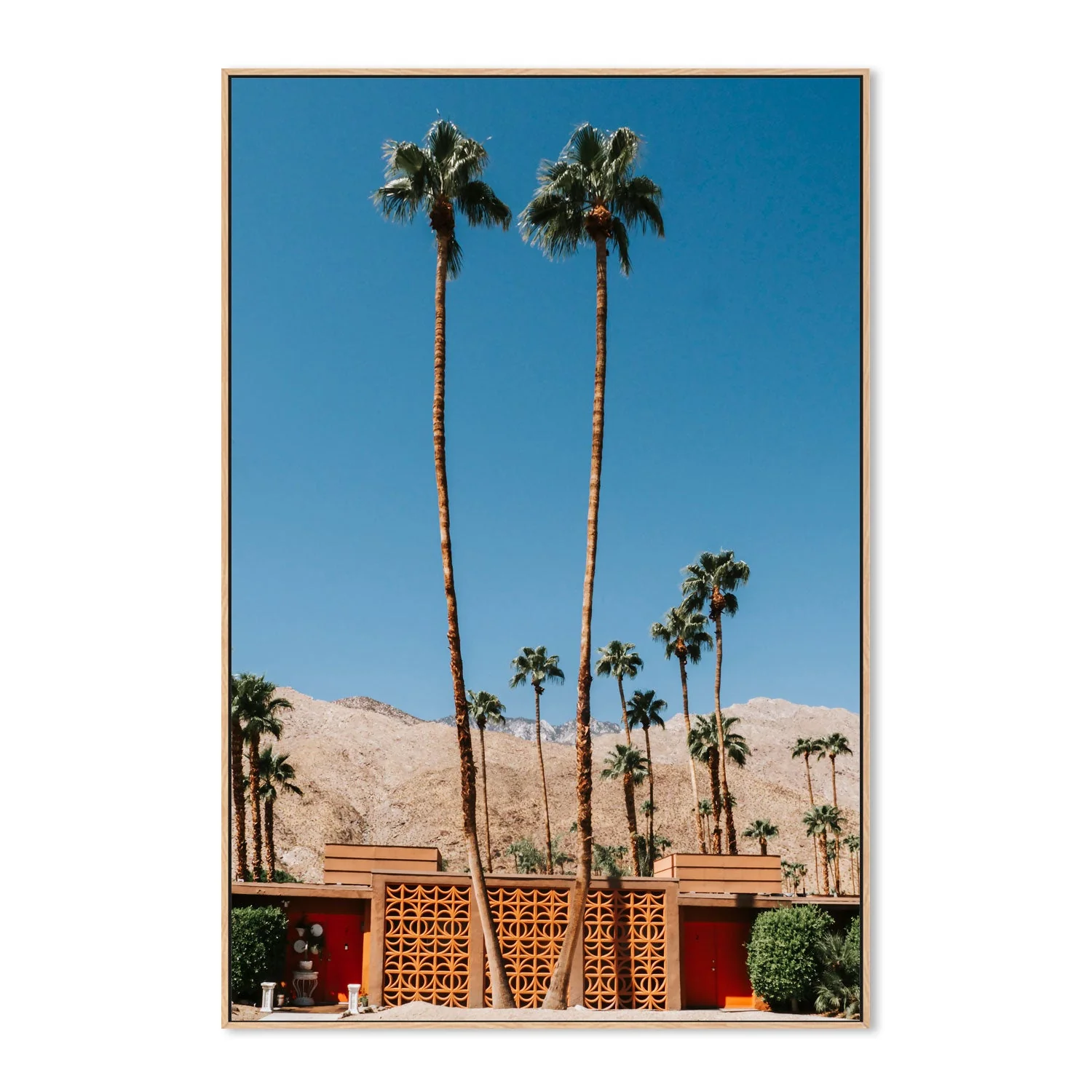 Two Palms - Image 4