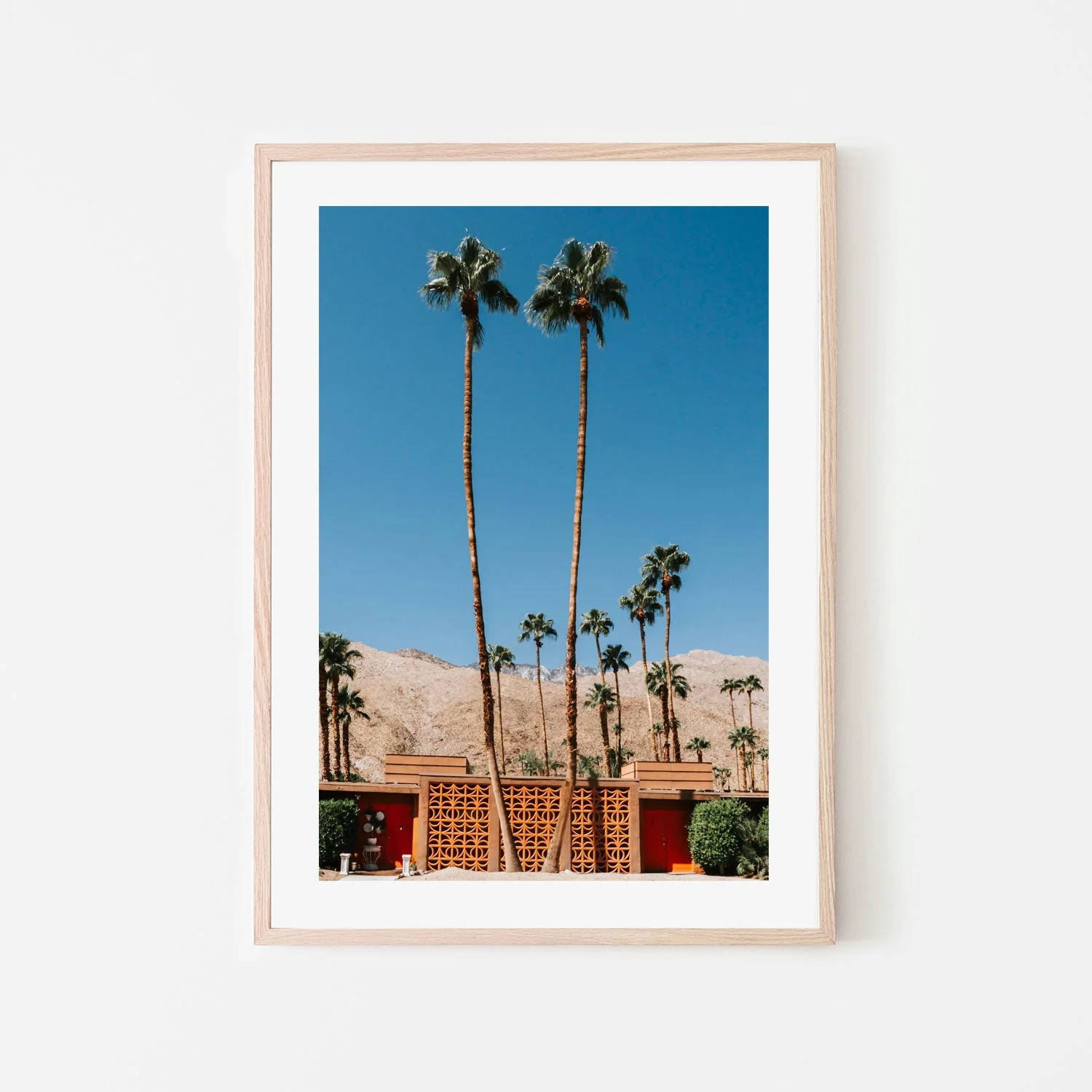 Two Palms - Image 6