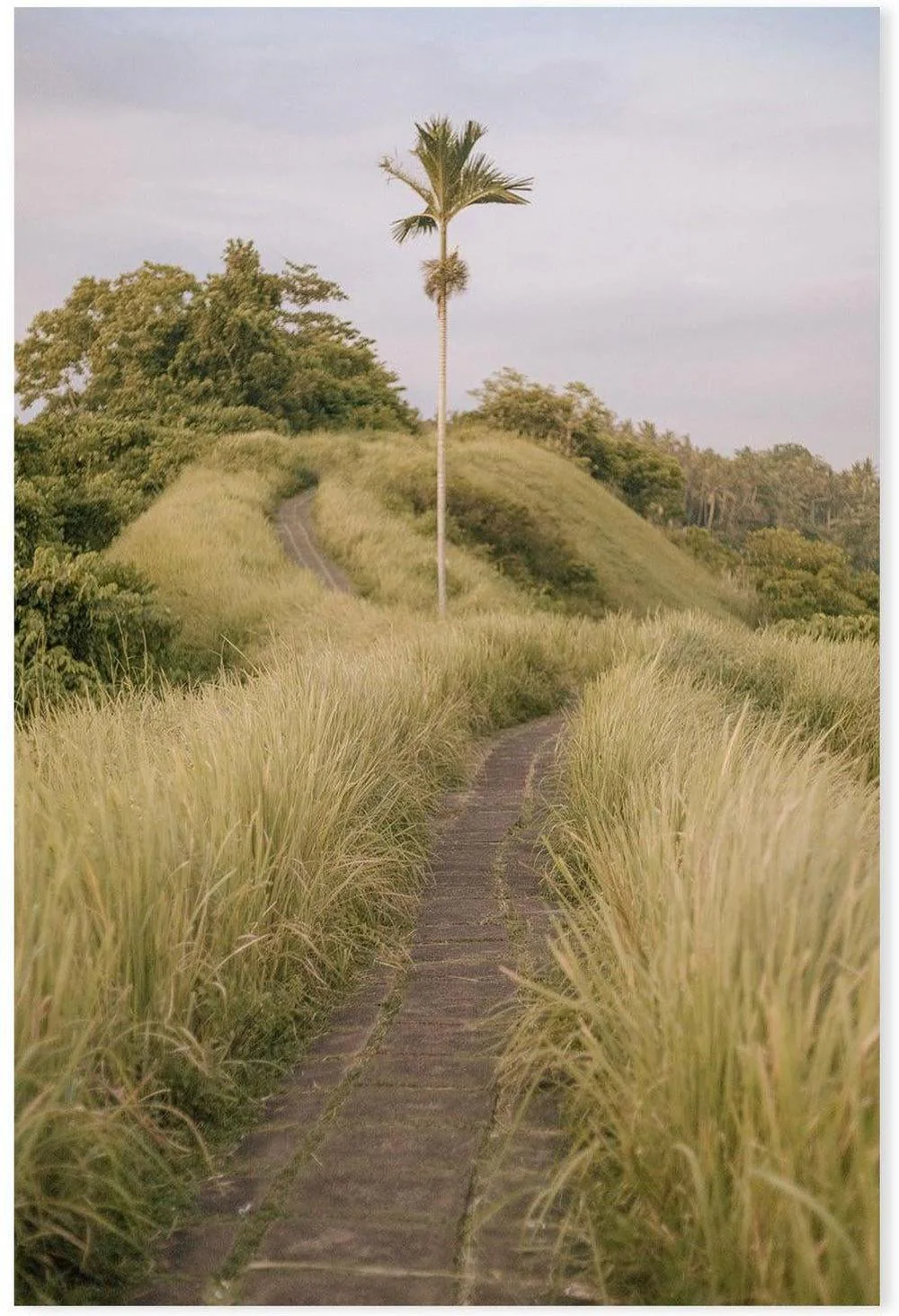 Ubud, Bali