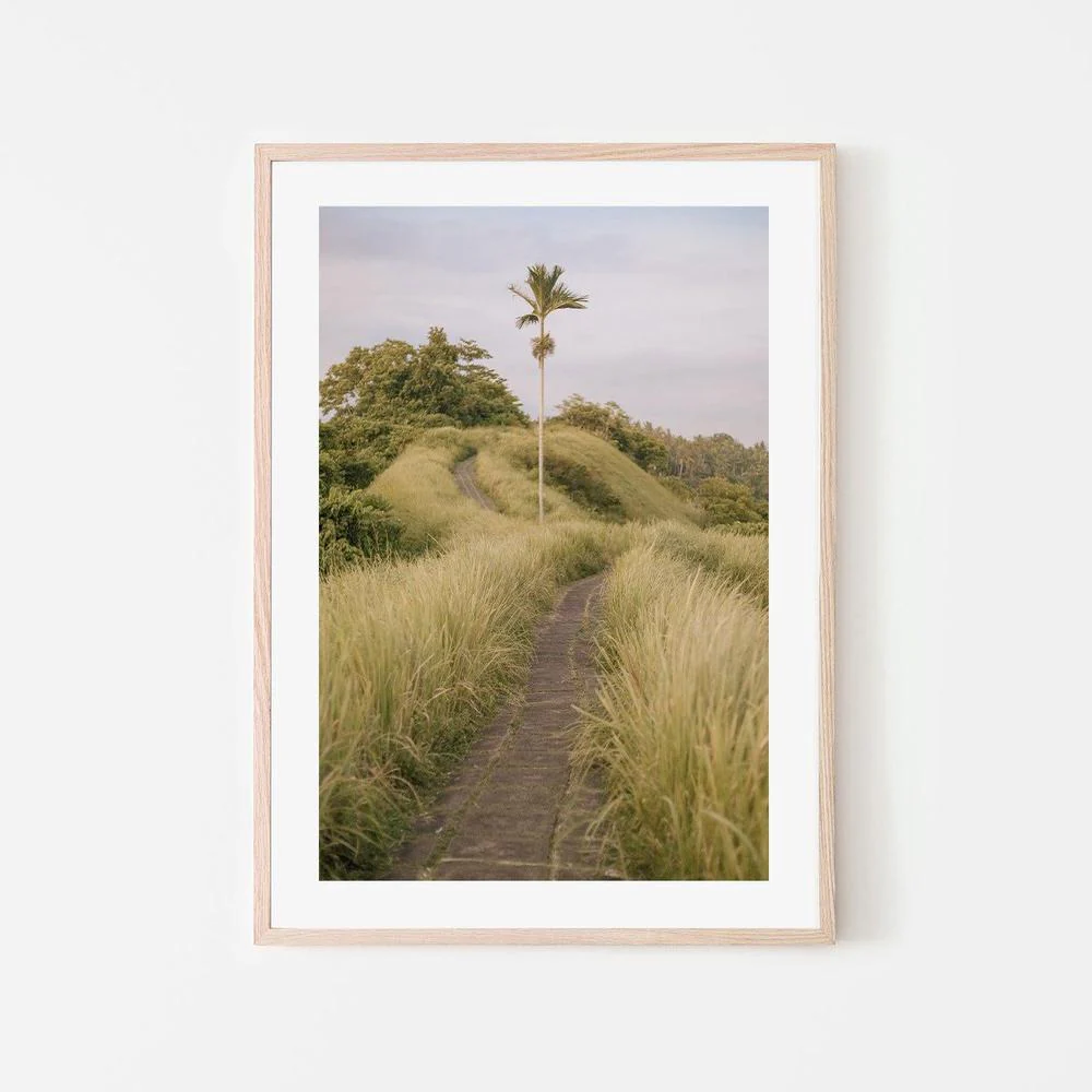 Ubud, Bali - Image 6