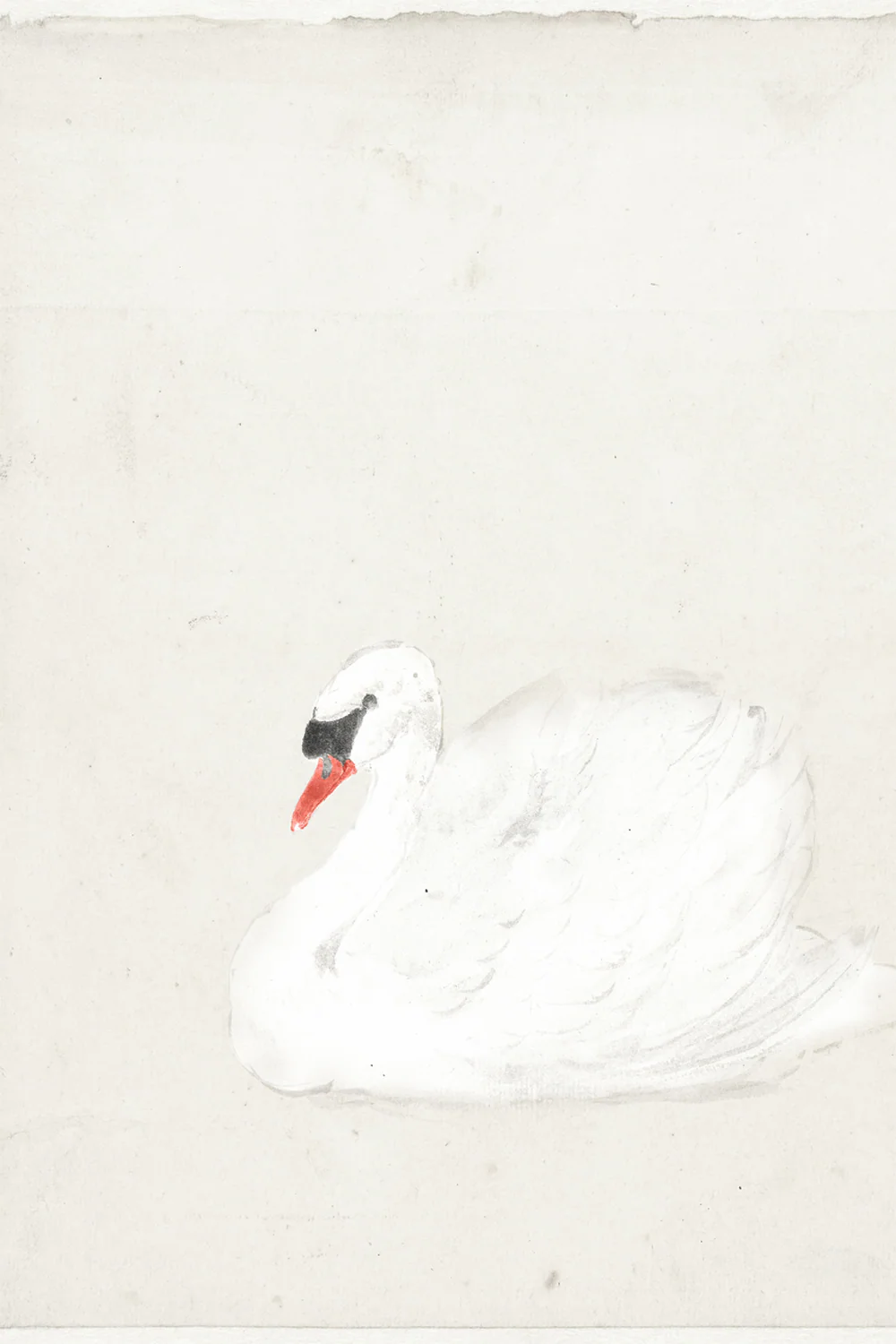 Vintage Swan Illustration