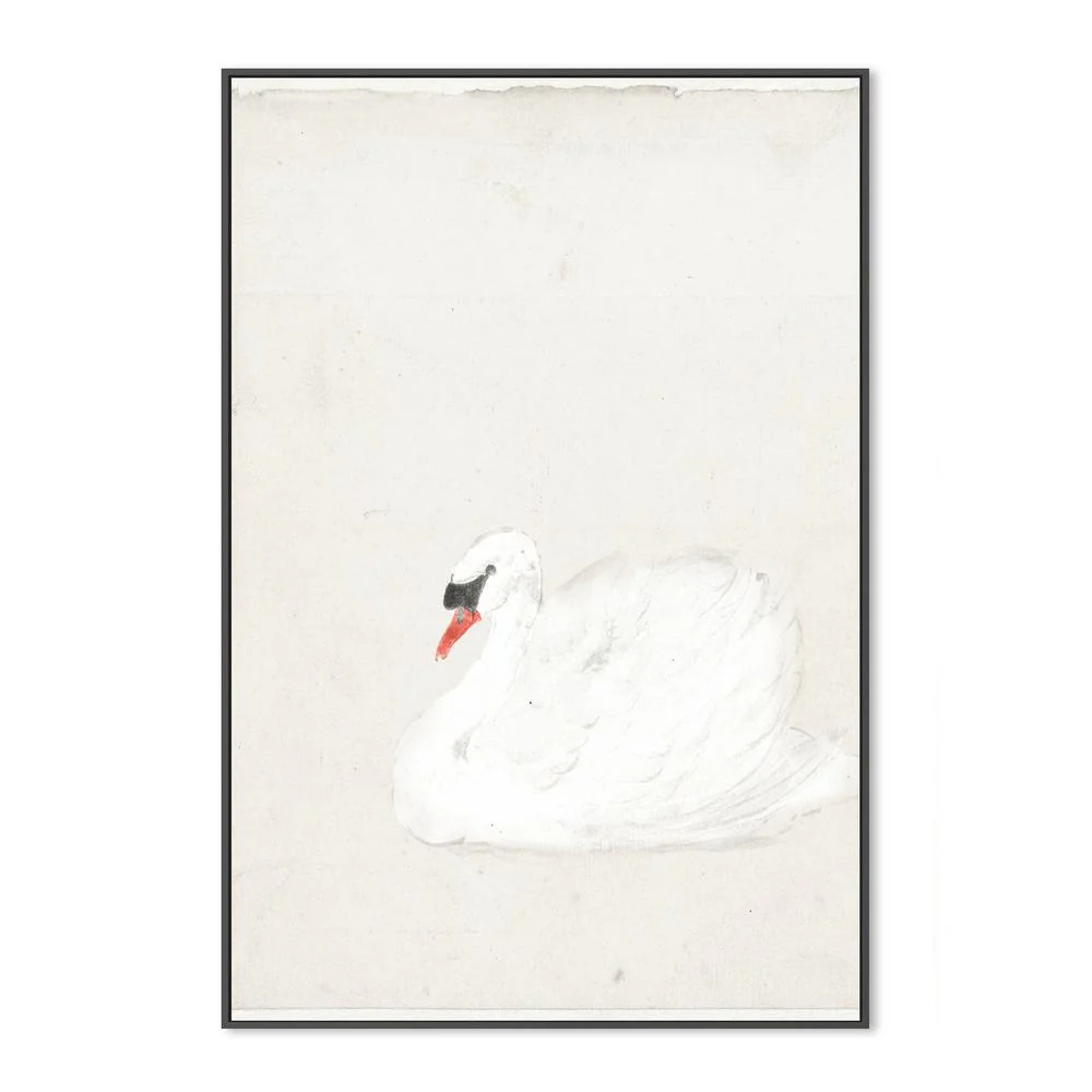 Vintage Swan Illustration - Image 3