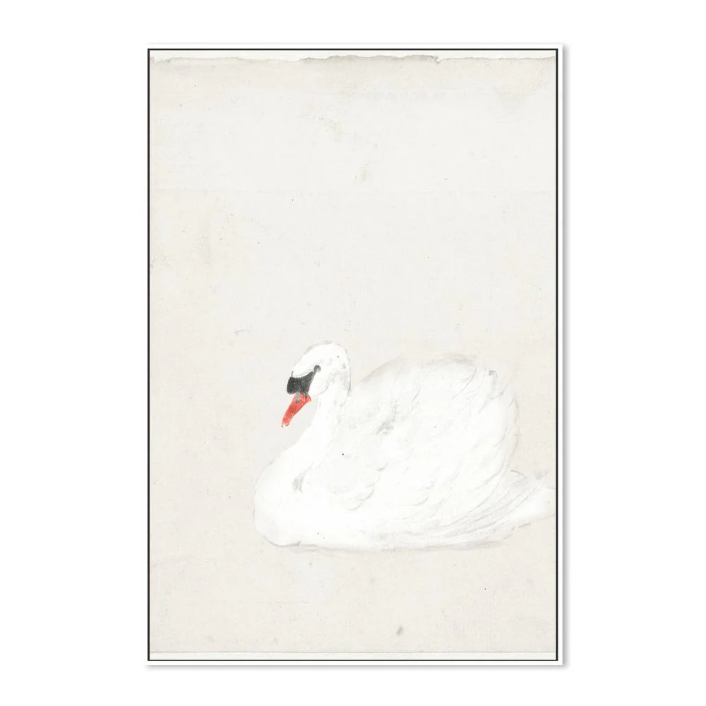 Vintage Swan Illustration - Image 5