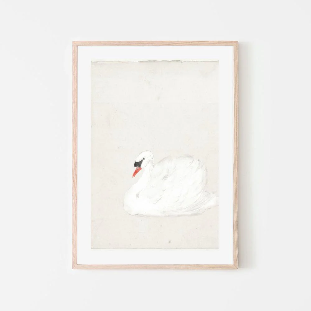 Vintage Swan Illustration - Image 6