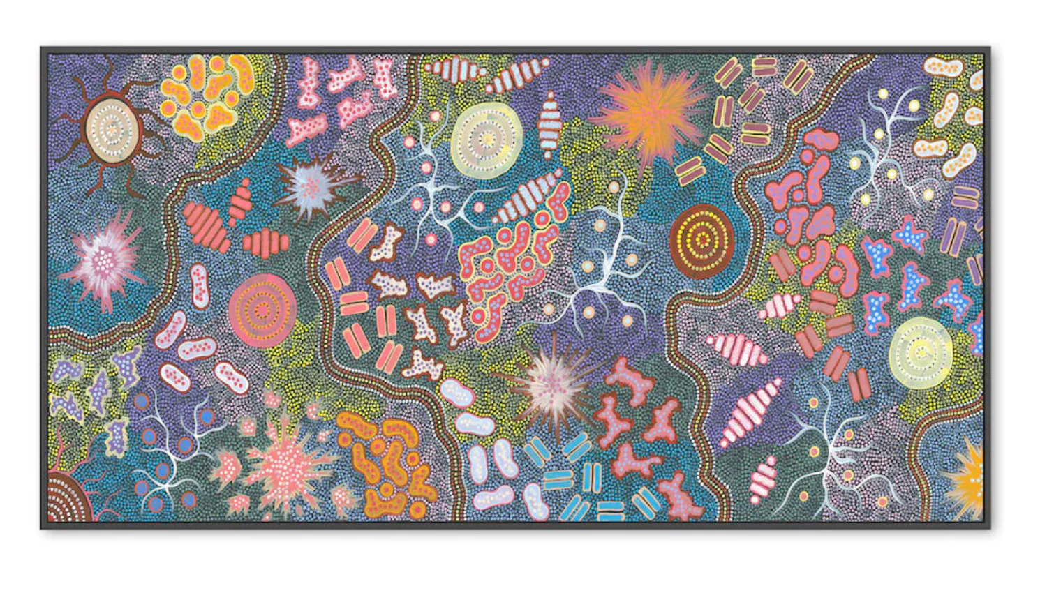 WATERHOLE BUSH TUCKER DREAMING, STYLE B, BY AZEZA POSSUM BLACK FRAMED CANVAS 50x100cm
