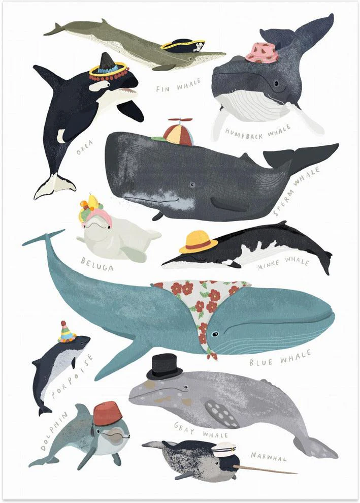 Whales In Hats