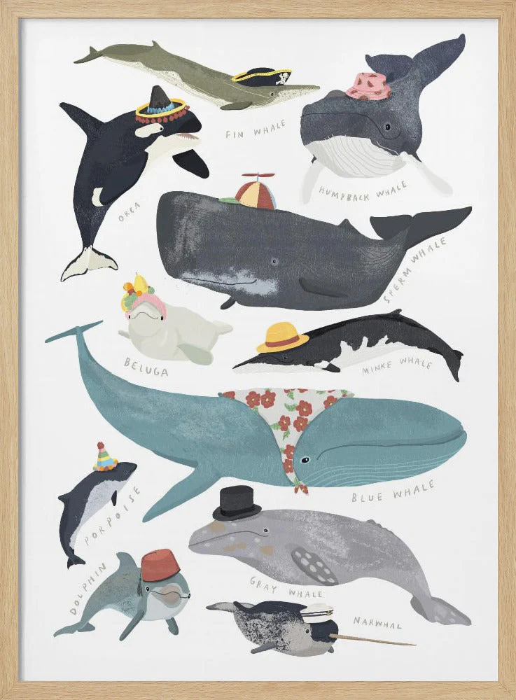 Whales In Hats - Image 4