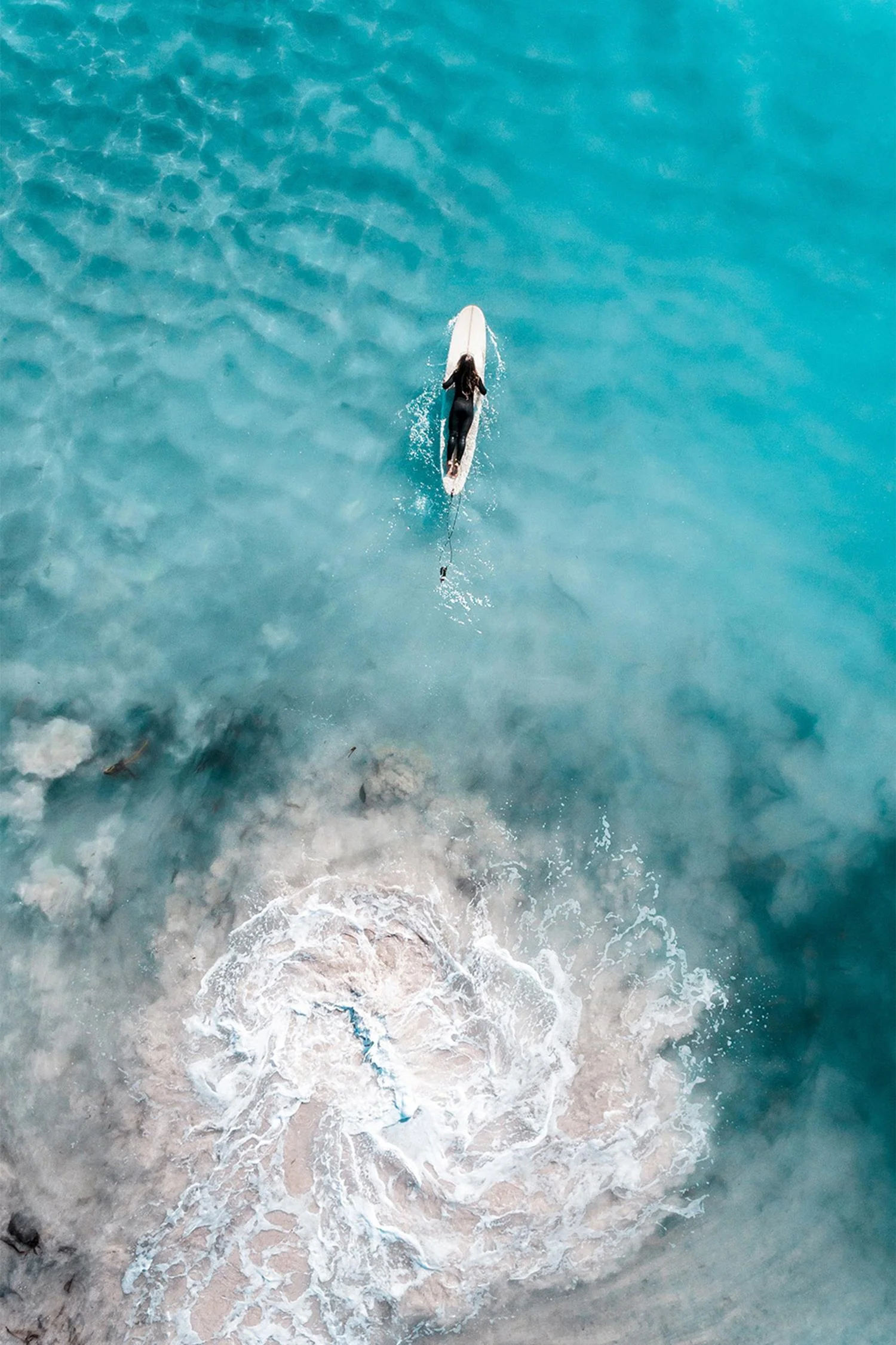 Whirlpool Surfer