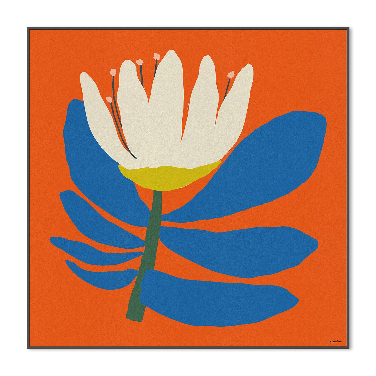 White Flower With Blue Leave - Image 3