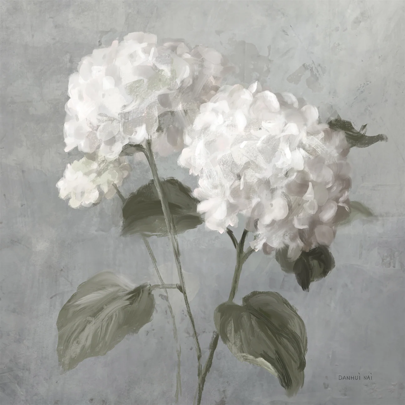 White Hydrangeas