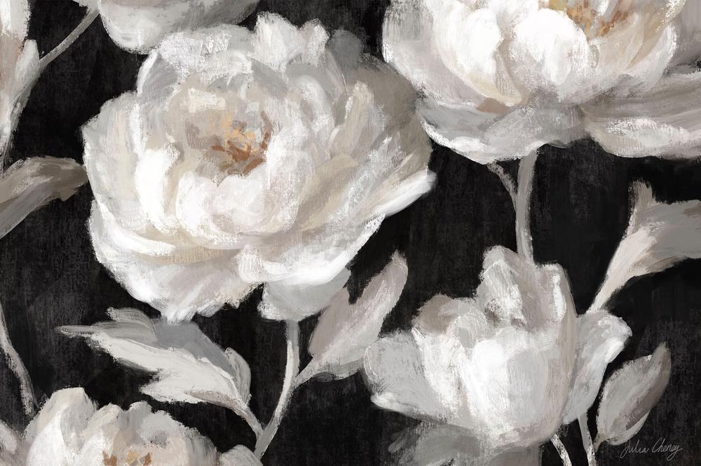 White Peonies On Black