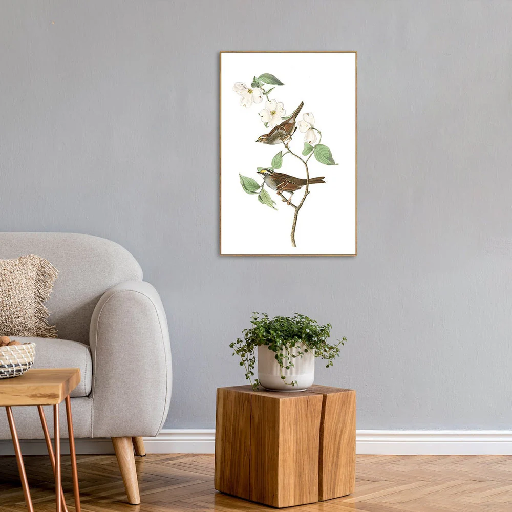 White Throated Sparrow, By John James Audubon - Image 2