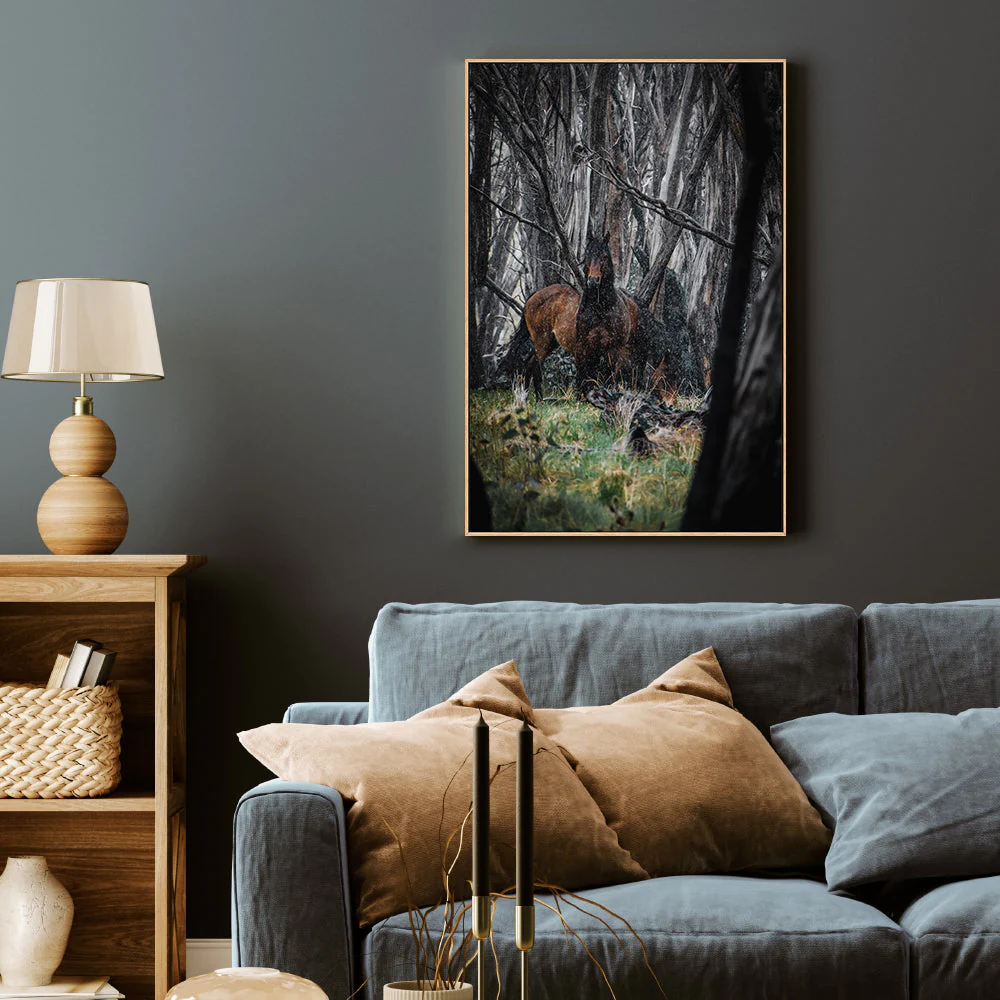 Wild Brumbies, Snowy Mountains - Image 7