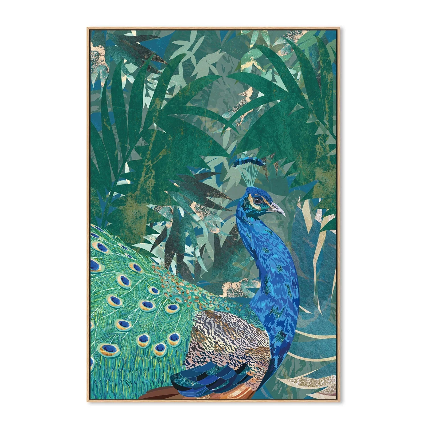 Wild Peacock - Image 4