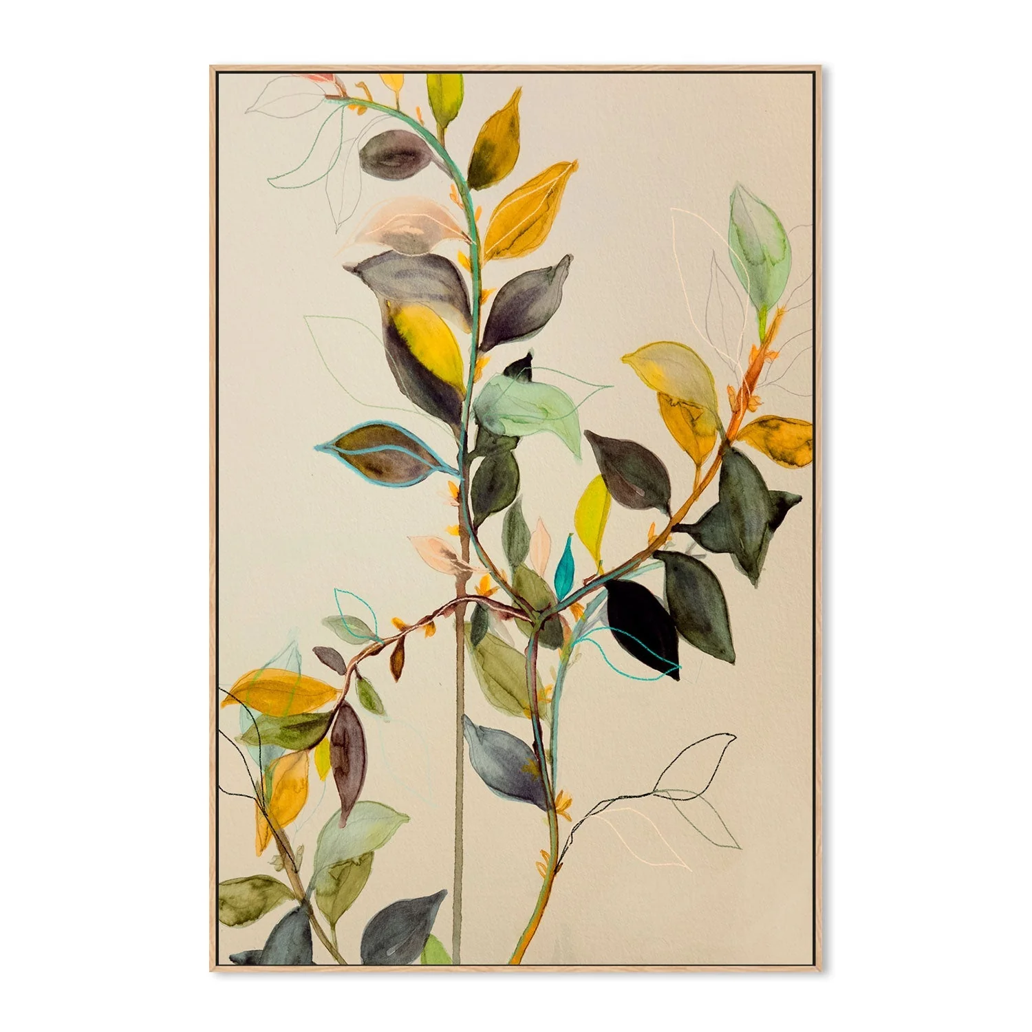 Willow - Image 4