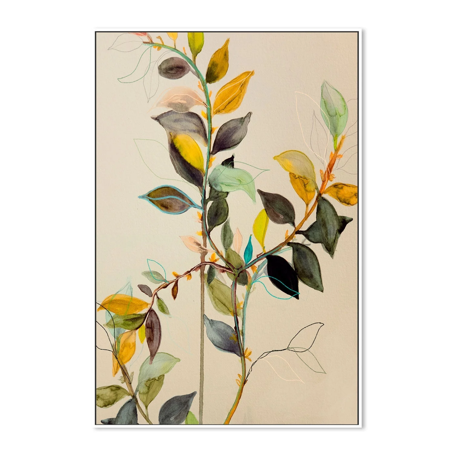 Willow - Image 5