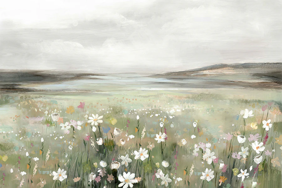 Soft Meadow Under Cloudy Sky