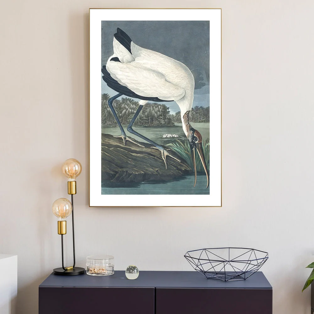 Wood Ibis, By John James Audubon - Image 2