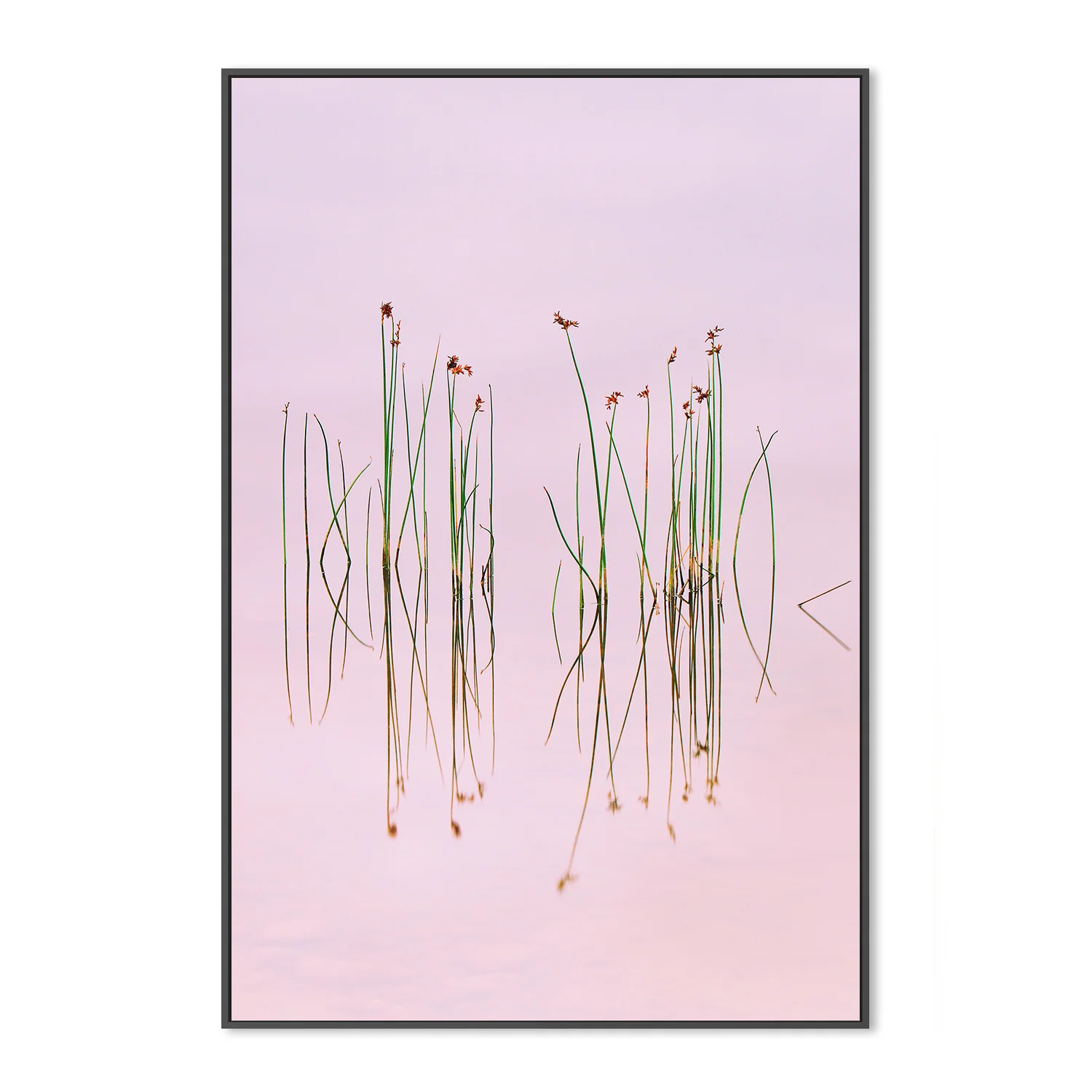 Reflection of Serenity - Image 3