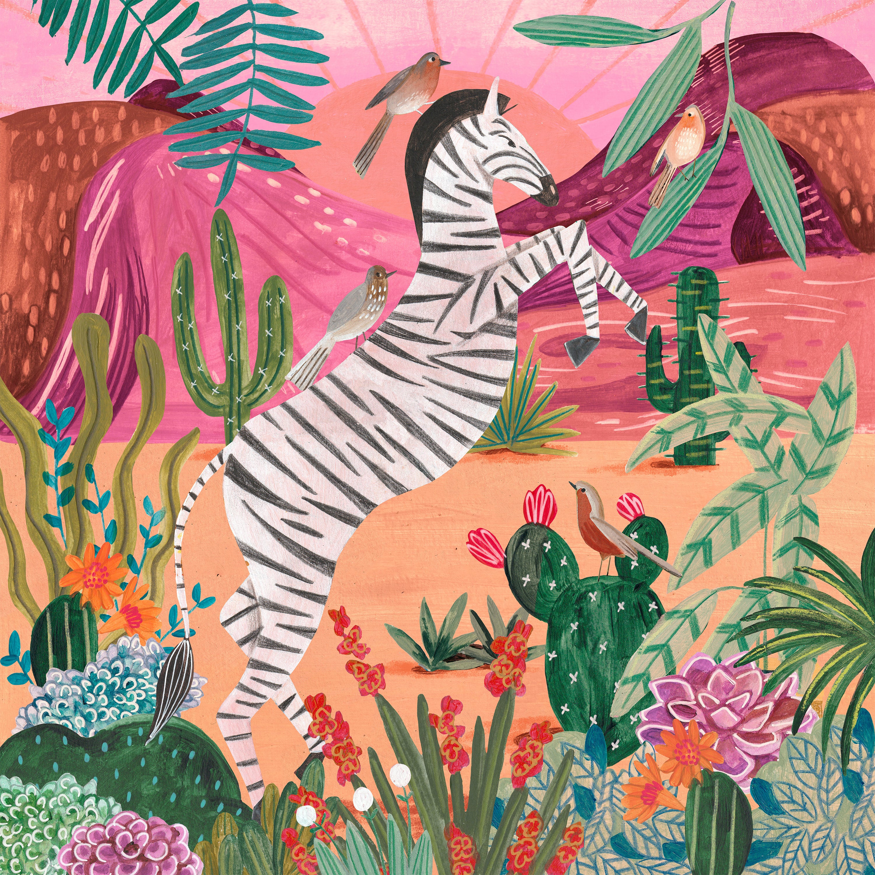 Zebra in the mountains