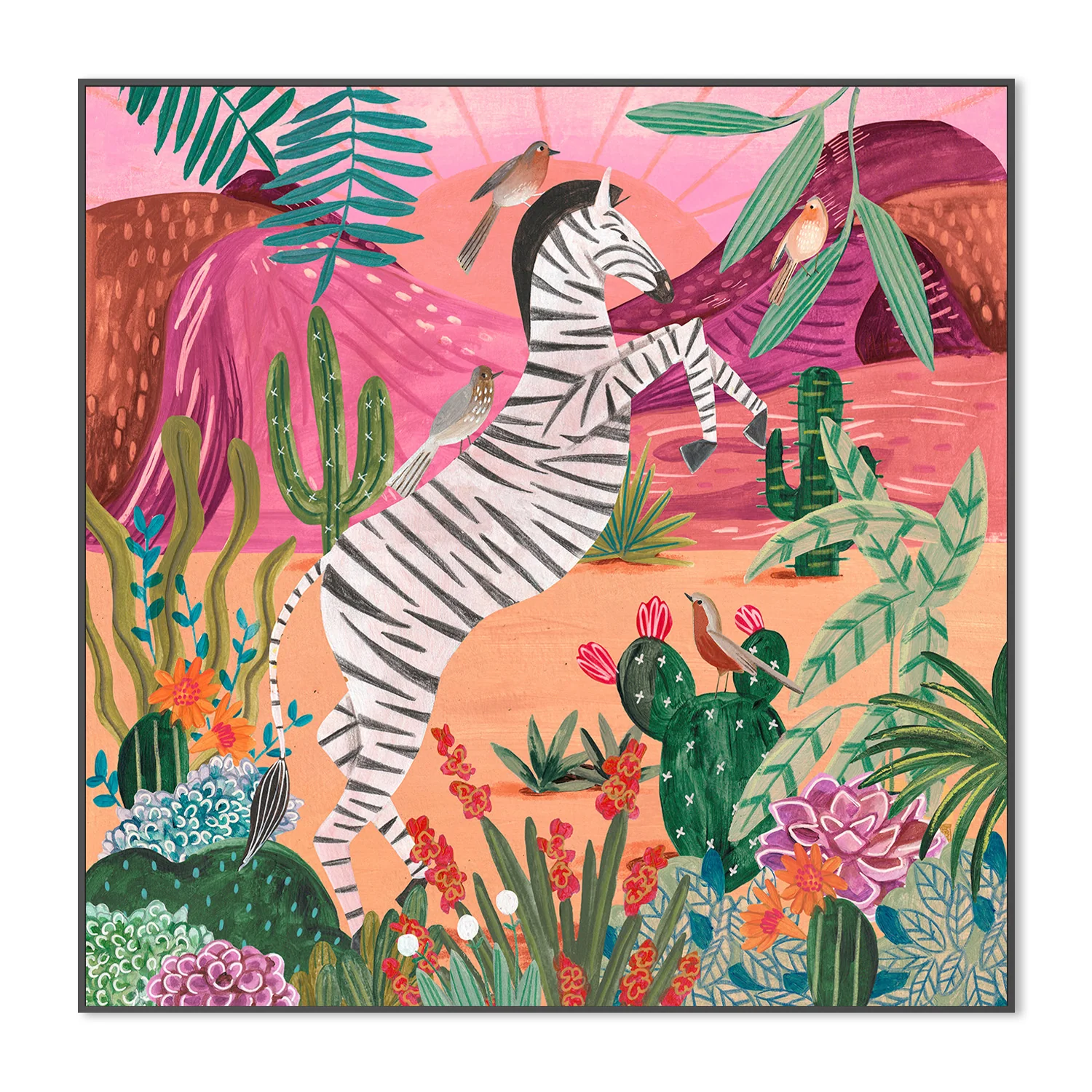 Zebra in the mountains - Image 3